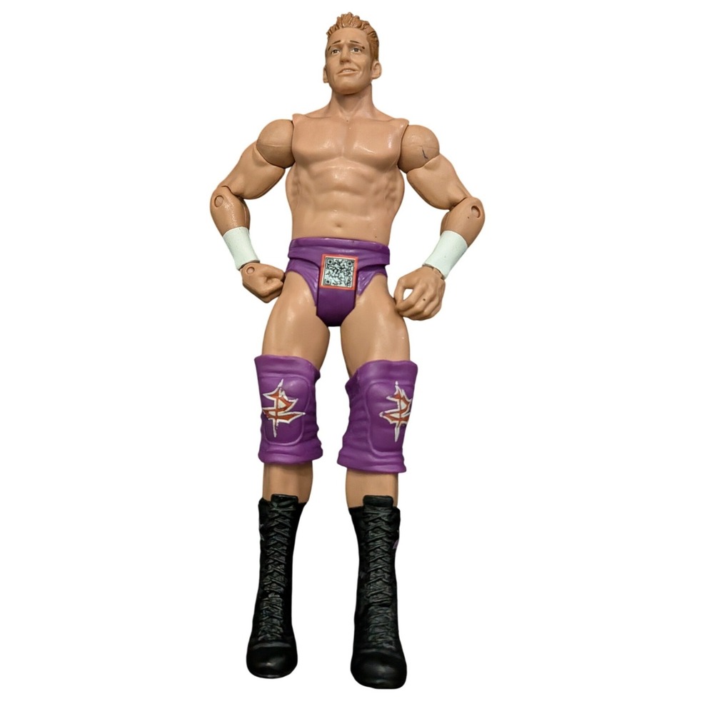 Mattel WWE Zack Ryder Action Figure Unisex 7in Purple Gear Articulated Good